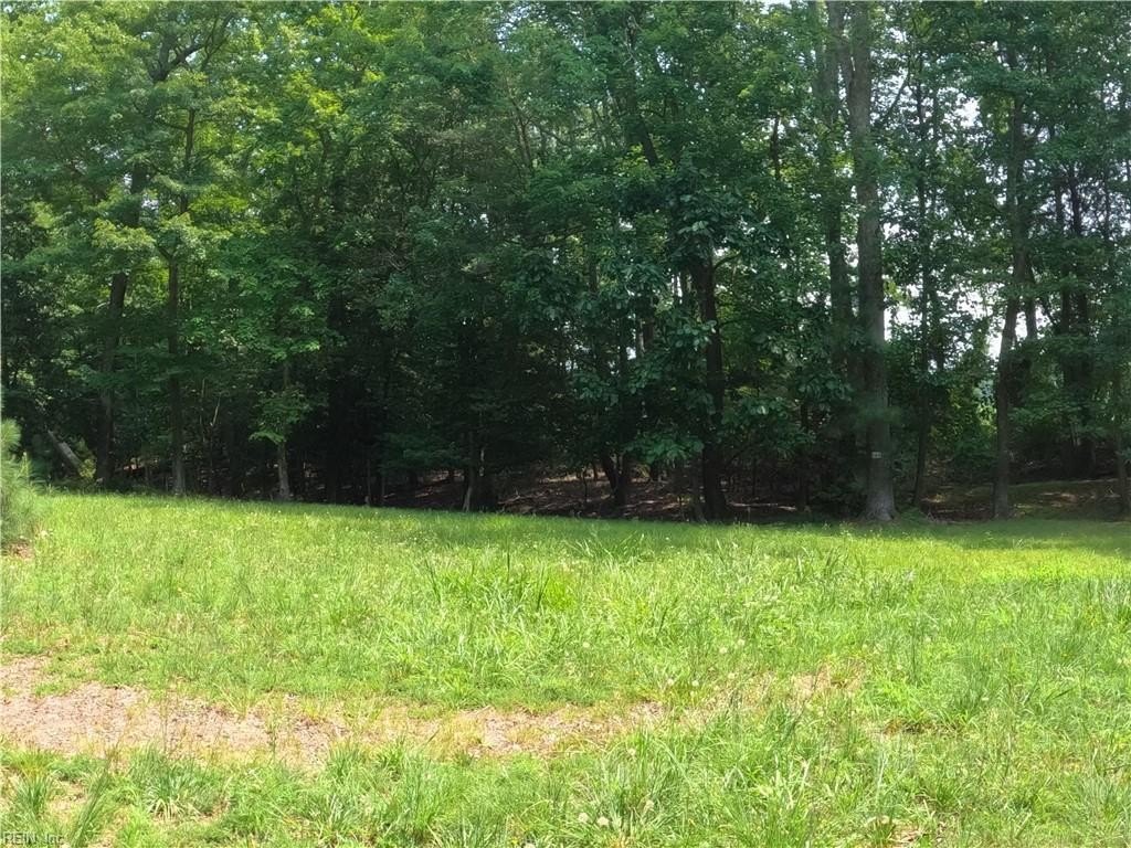 Picture 6