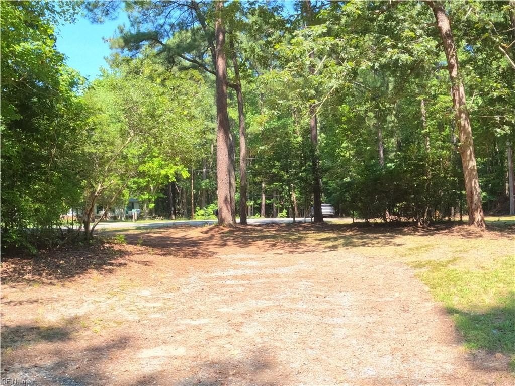 Picture 8