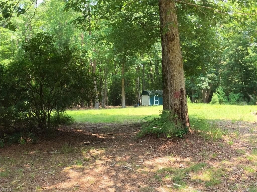 Picture 5
