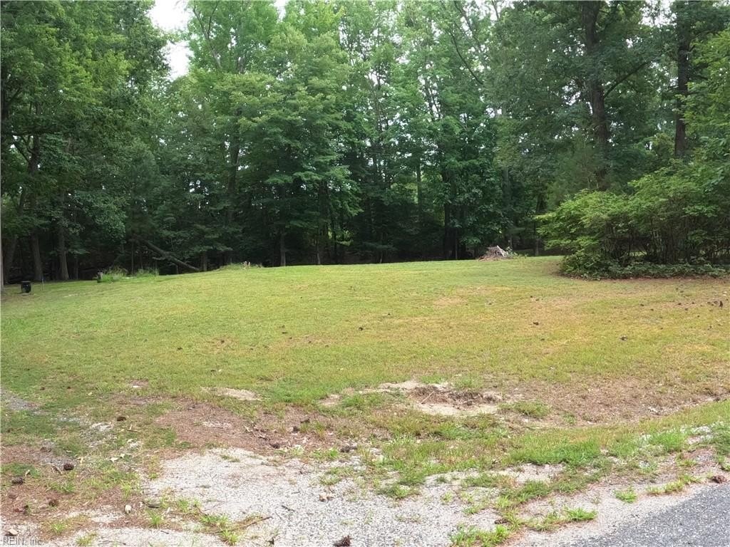 Picture 14