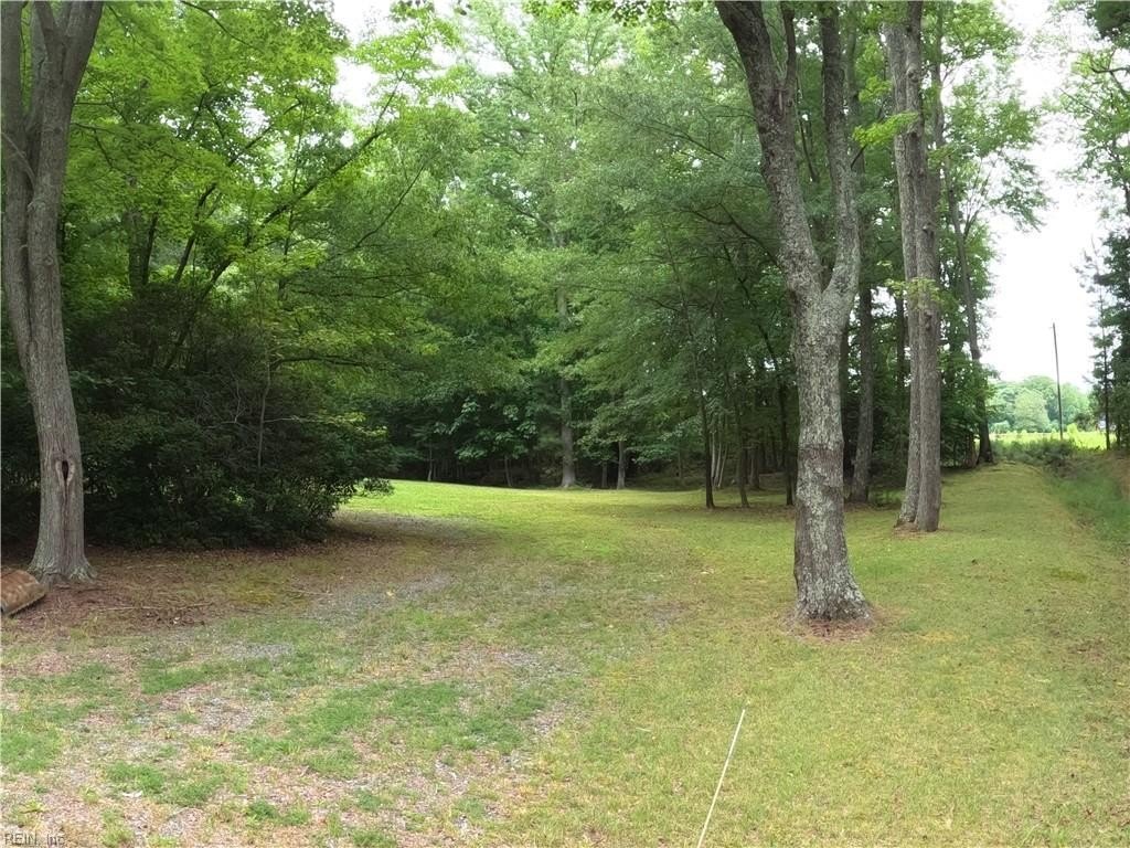 Picture 16