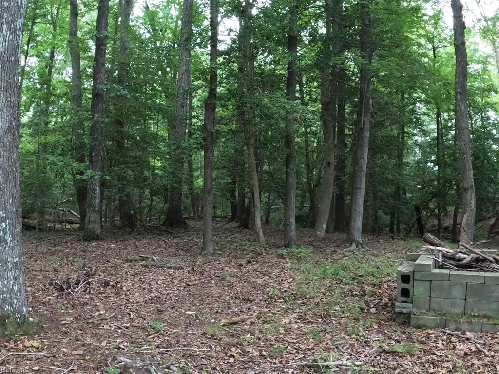 Picture 21