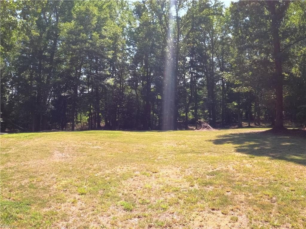 Picture 19