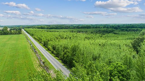 Land For Sale, Jonesboro