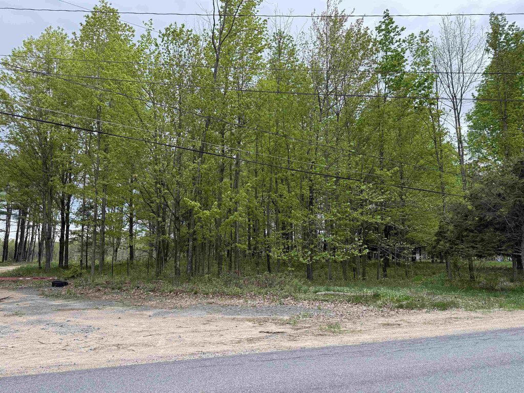 Picture 14