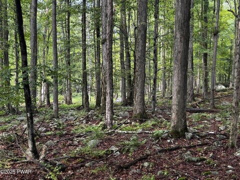 Residential Land Near Lake Wallenpaupack