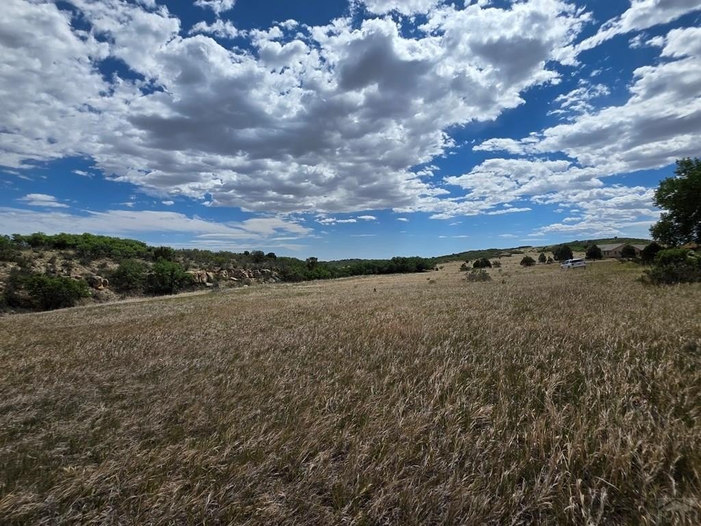 Picture 13