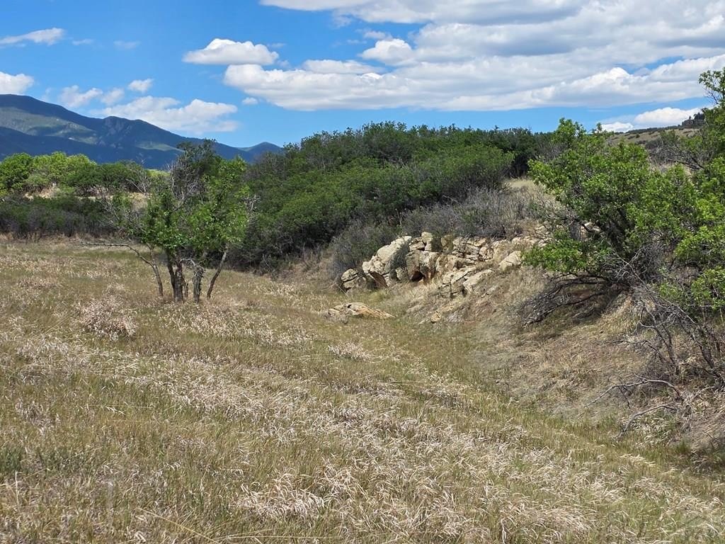 Picture 22