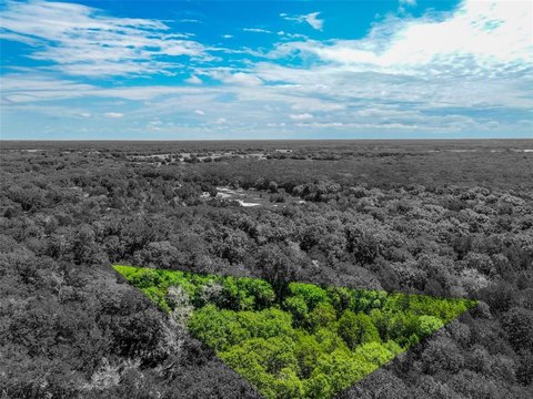 Greenville Wooded Lot For Sale