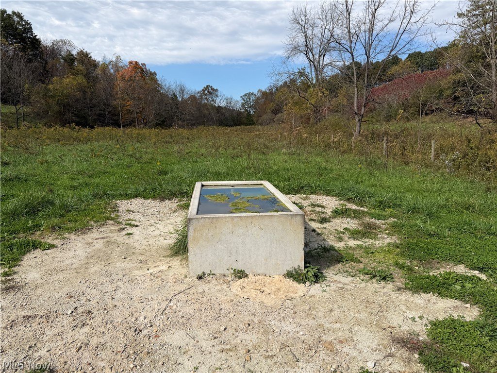 Picture 21