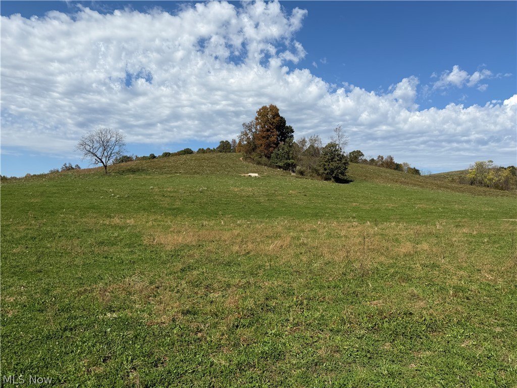 Picture 30