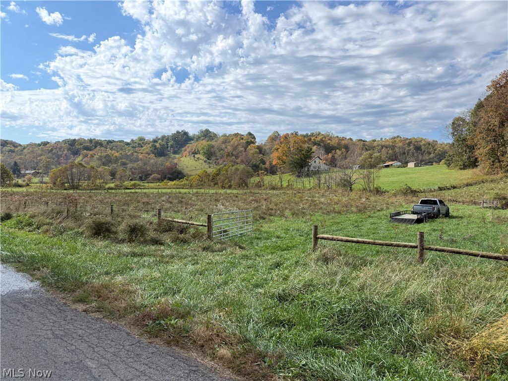 Picture 15