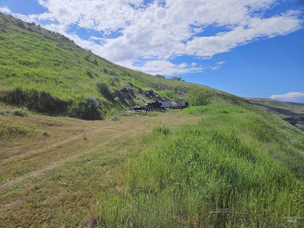 Picture 18