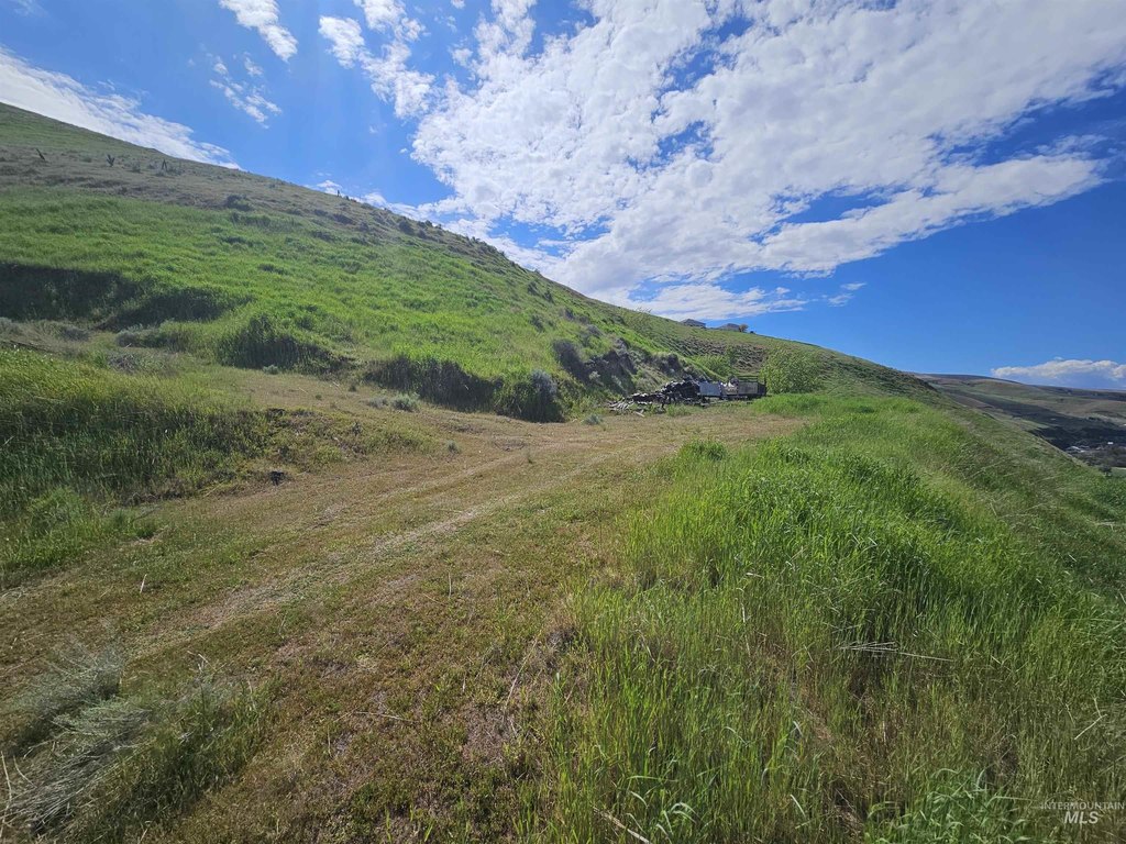 Picture 4