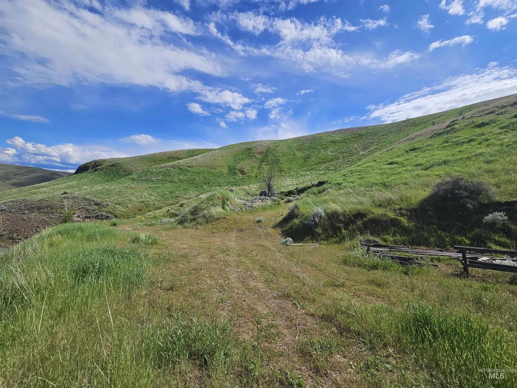 Picture 15
