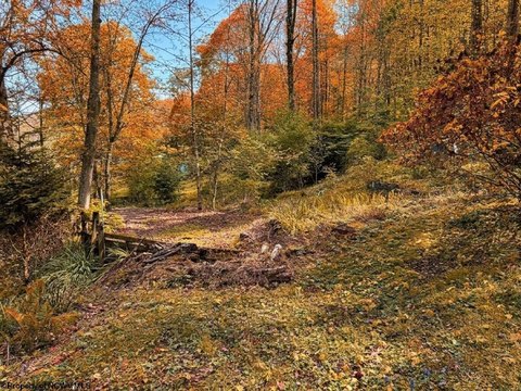 Crystal Lake Land Opportunity