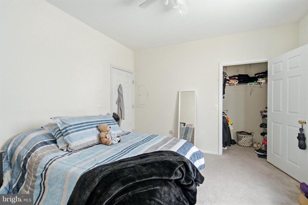 Picture 11