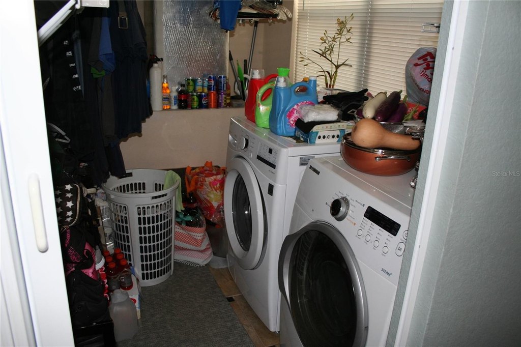 Picture 17