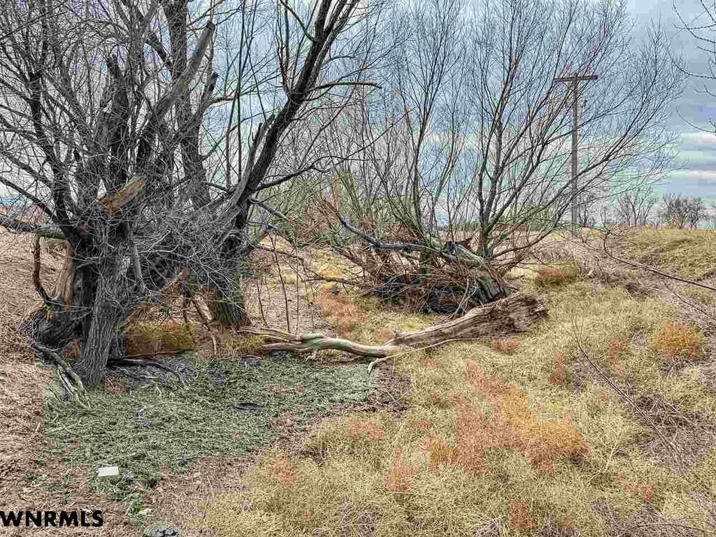 Picture 51
