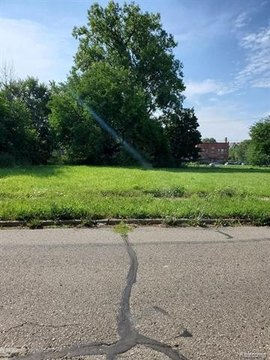 Land in Detroit's North End