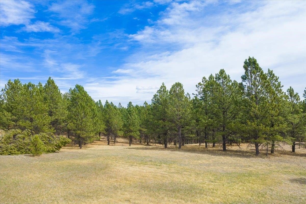 Southern Black Hills Wooded Oasis