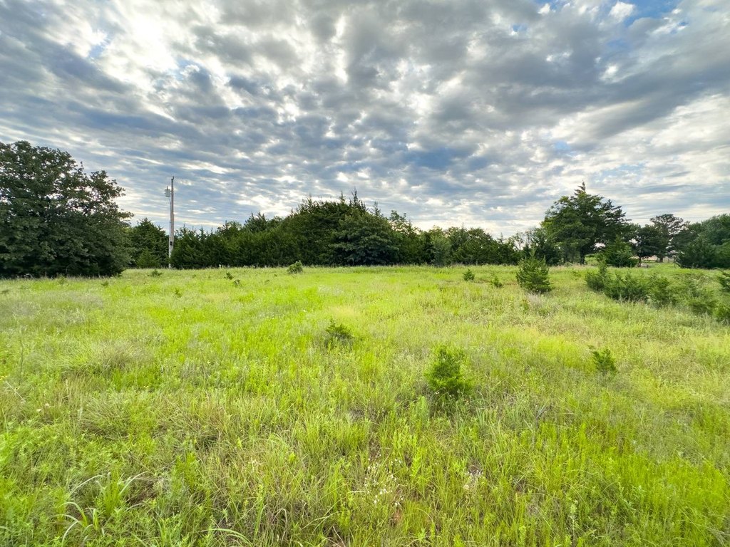 Picture 27
