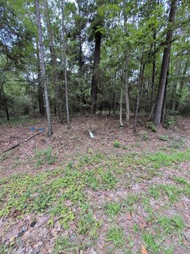 Land in Rayburn Country, TX