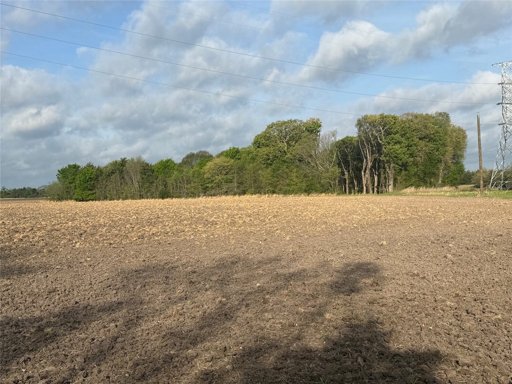 Picture 2