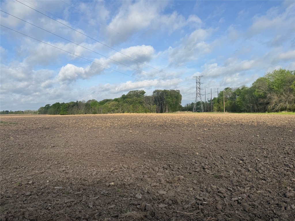 Picture 8
