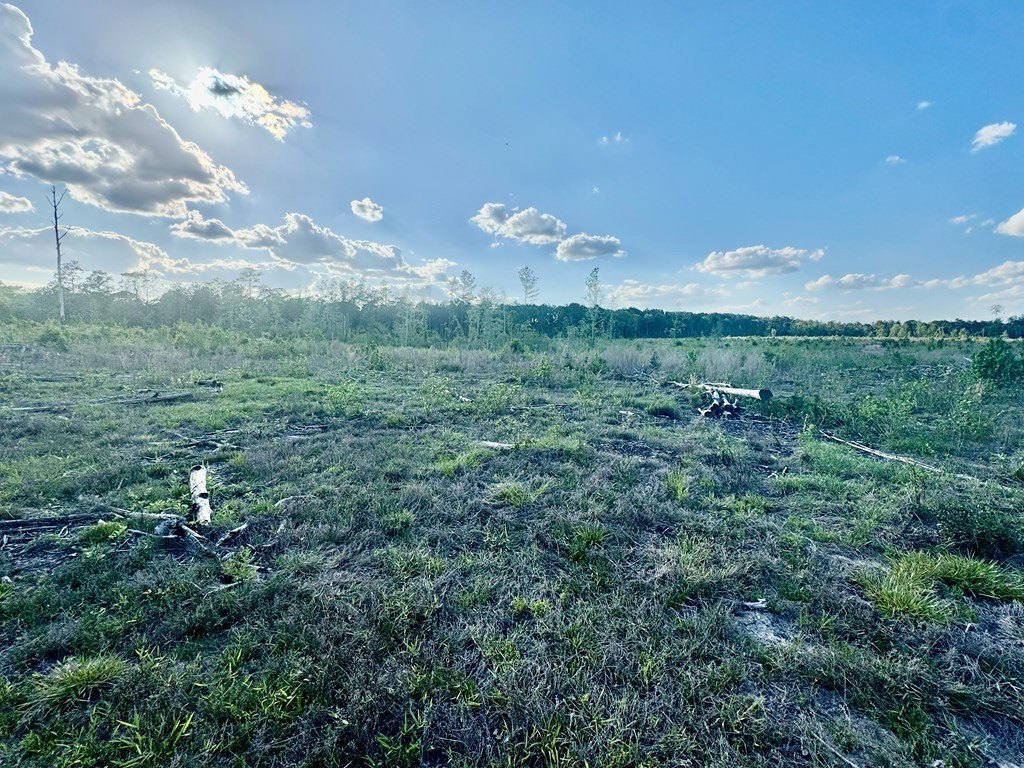 Picture 41