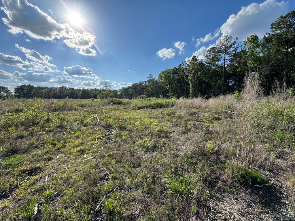 Picture 27