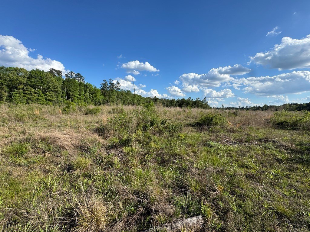 Picture 30