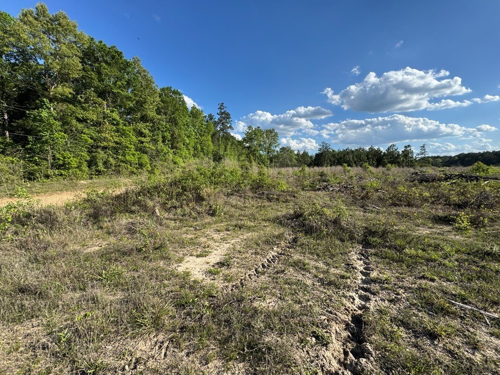 Picture 25