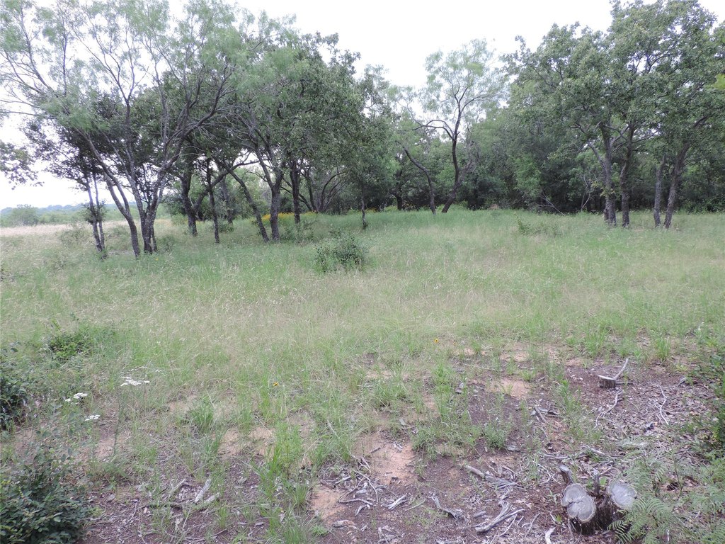 Picture 10