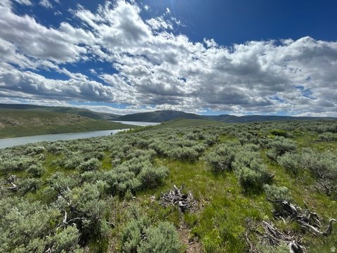 Land, Scofield, UT