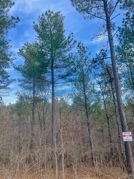 LAND - Broken Bow, OK