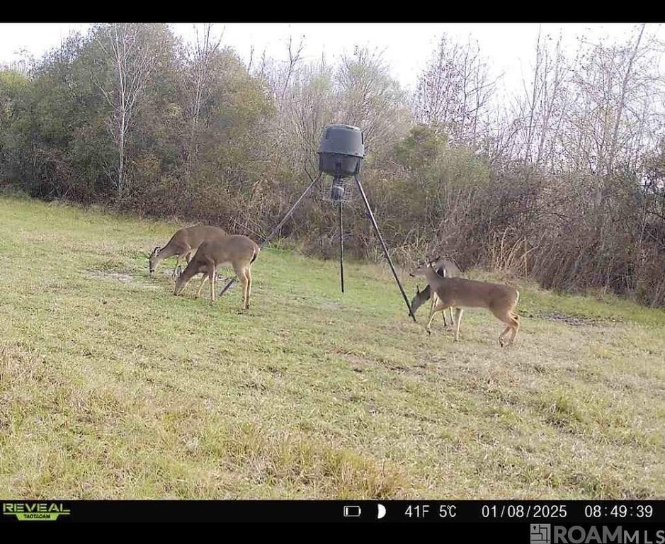 Picture 12
