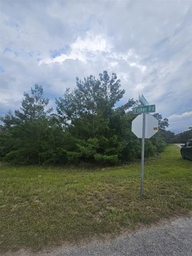 LAND - OCKLAWAHA, FL