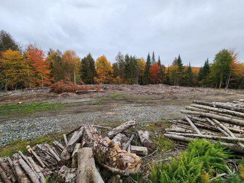 Land, Morgan, VT