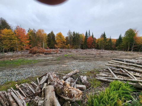 Land, Morgan, VT