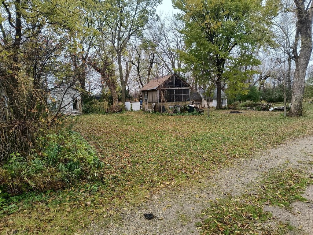 Picture 4