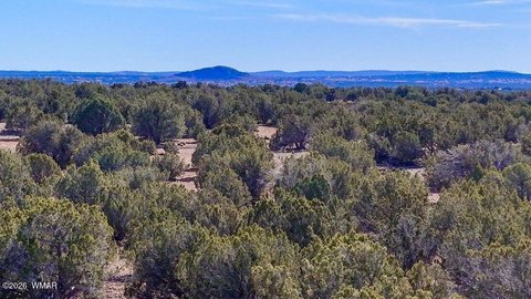 Secluded Land Near Show Low