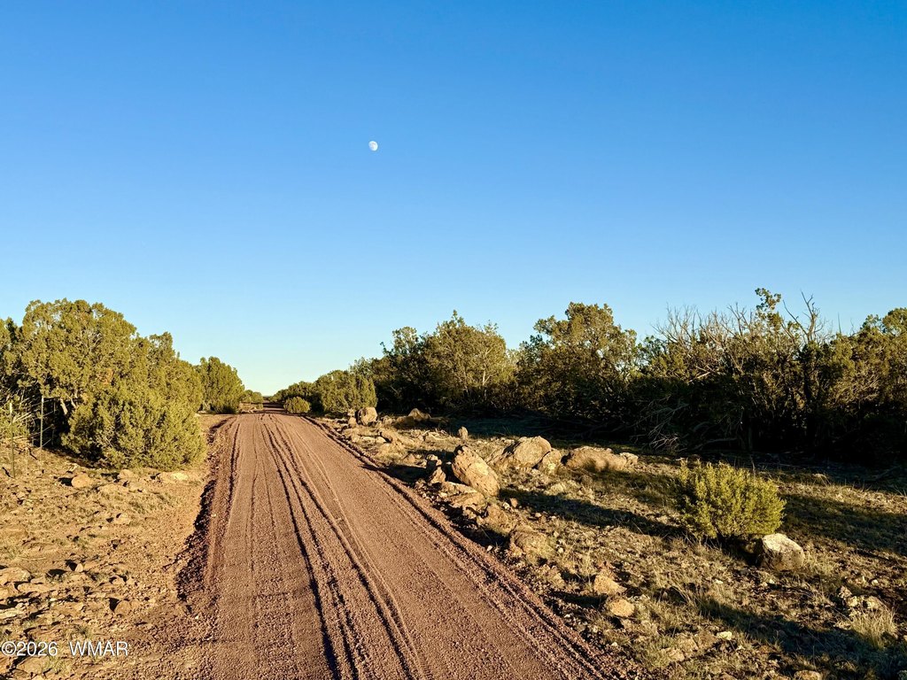 Picture 21