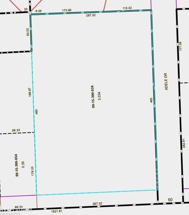 Picture 3