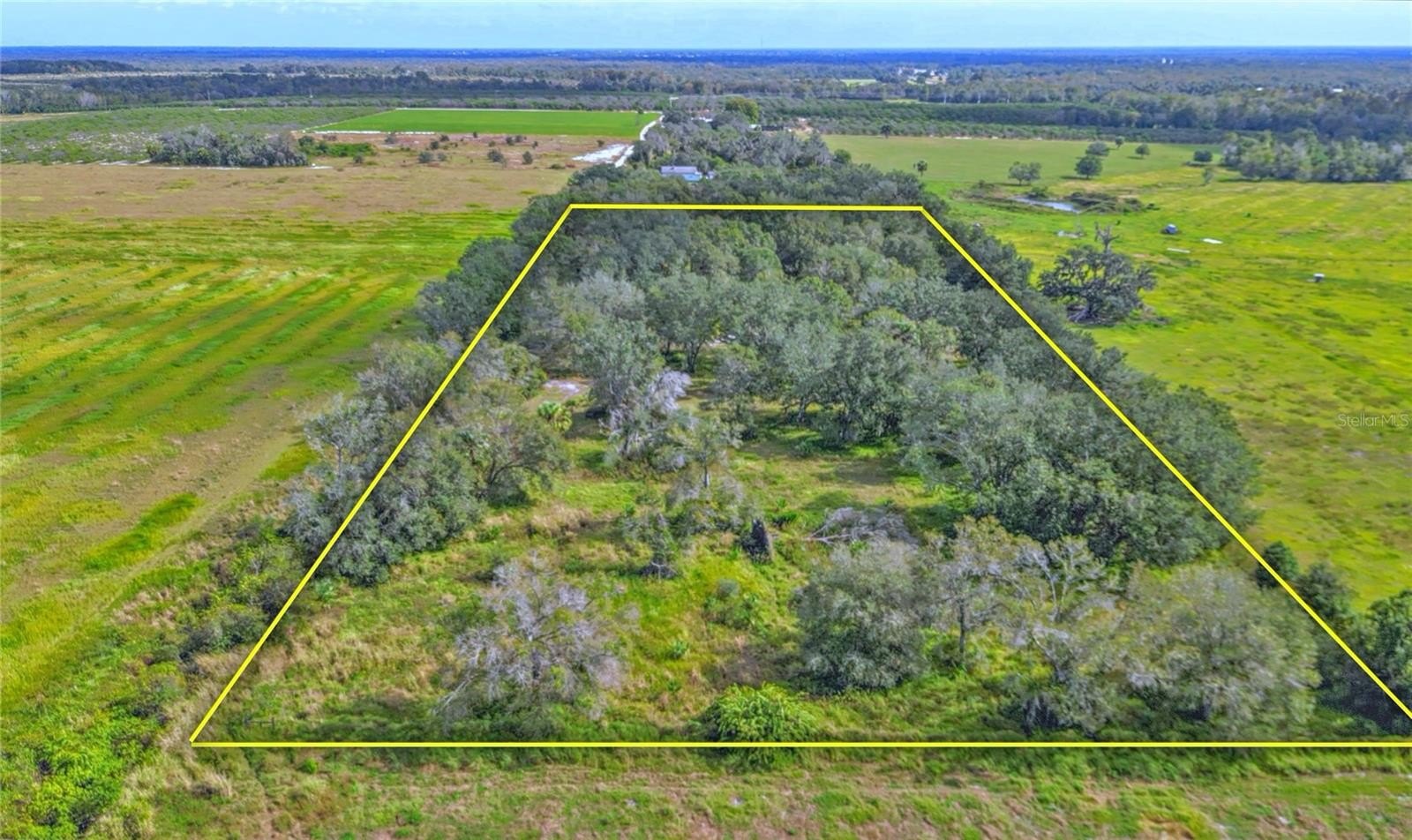 Secluded Land with Owner Financing