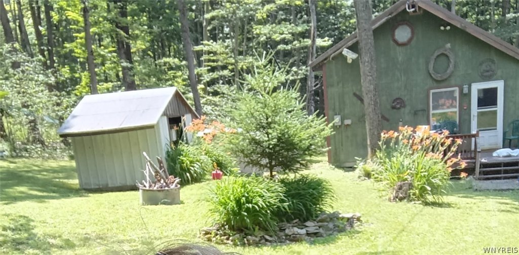 Picture 2