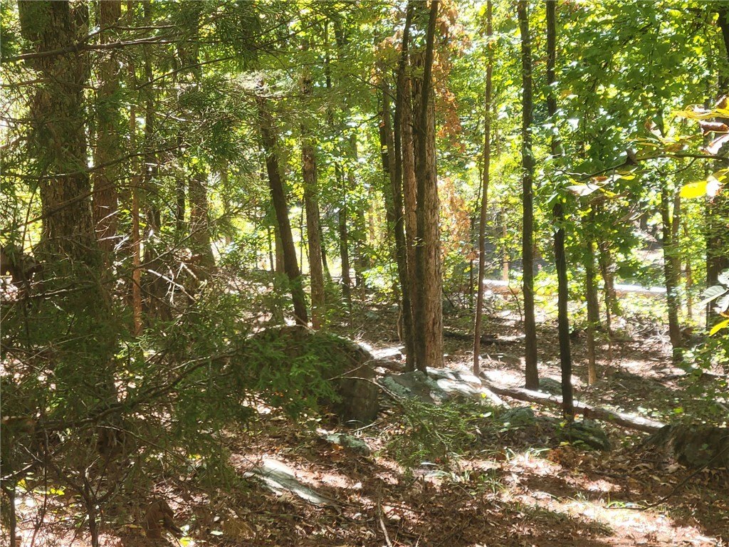 Picture 8