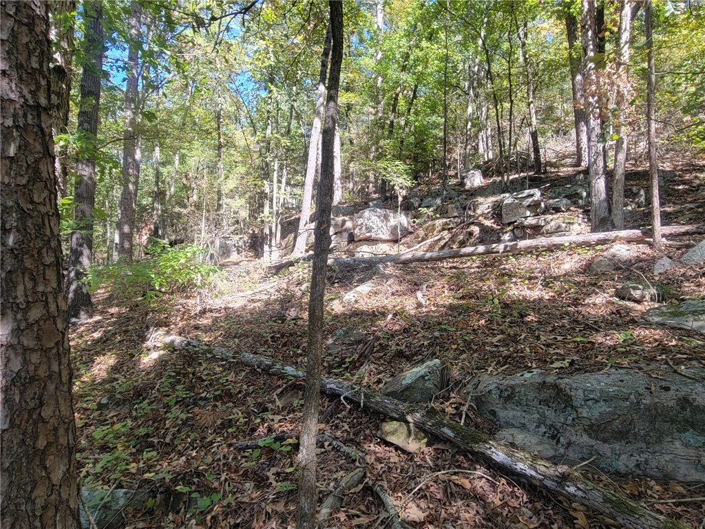 Picture 16