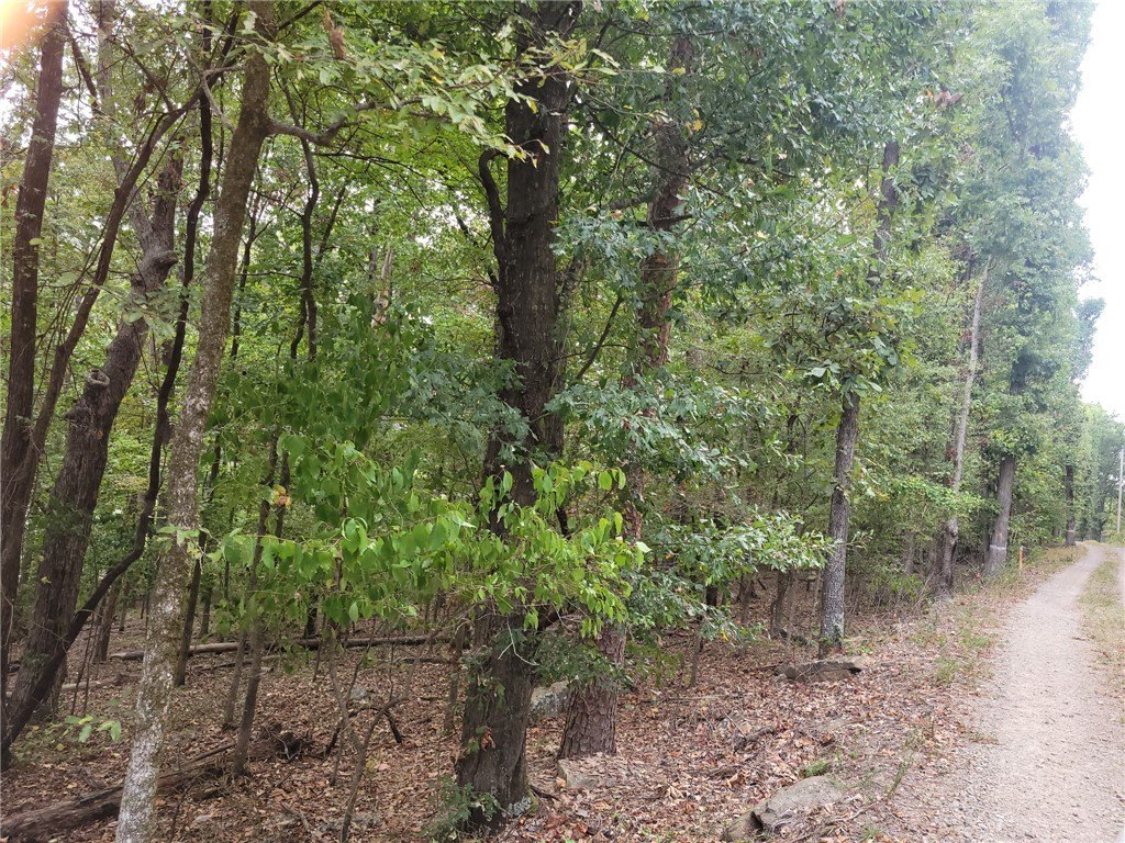 Picture 19