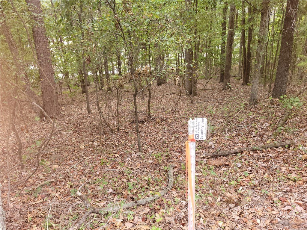 Picture 13